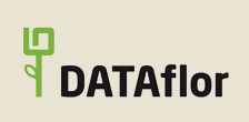 dataflor logo